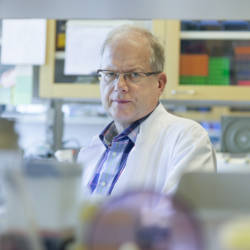 Timo Otonkoski laboratoriopöydän ääressä Biomedicumissa.